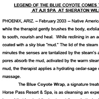 Sally Cooper Blue Coyote