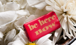 Be Here Now and Reap the Benefits as a Speaker and Leader! (And as a Human!)